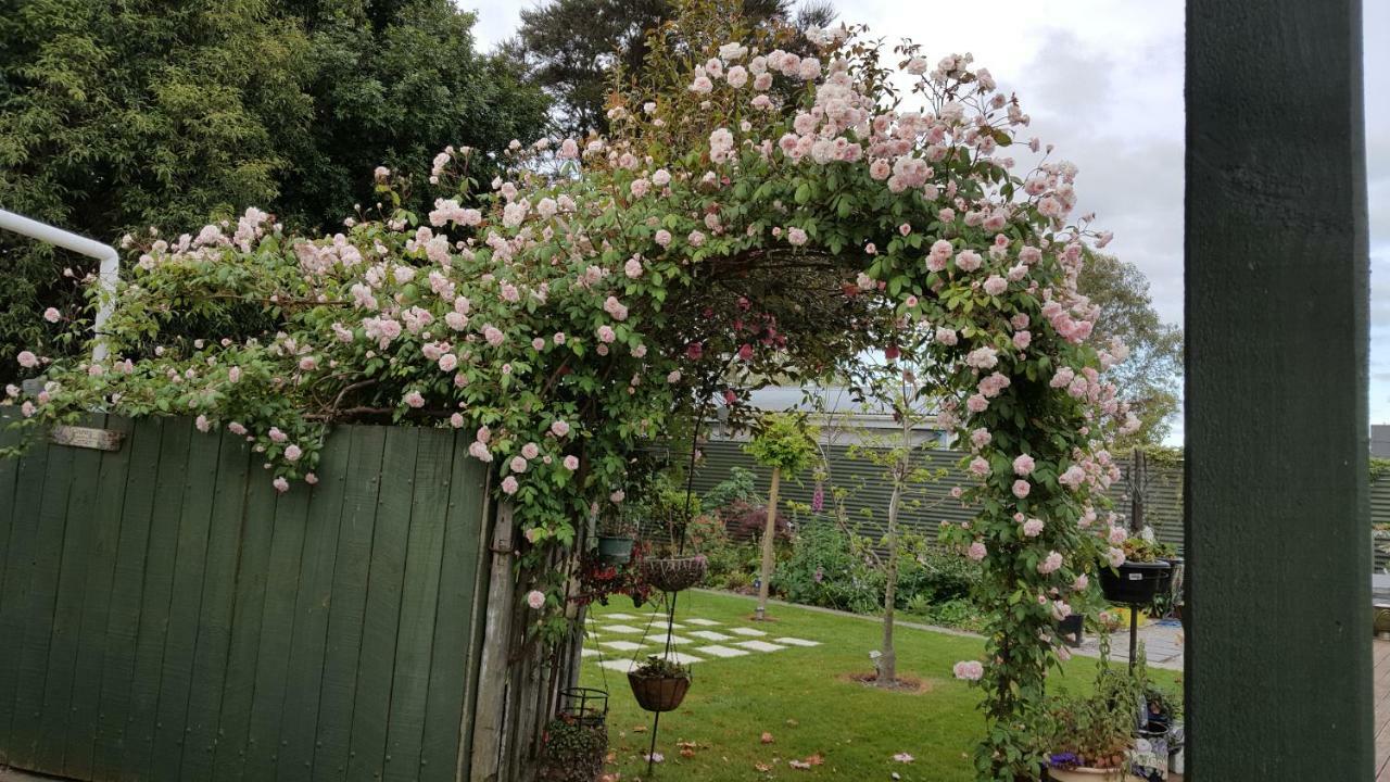 Dragonflycottagebnb Grovetown Exterior foto